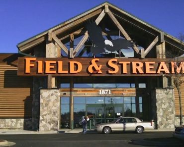Field & Stream Survey