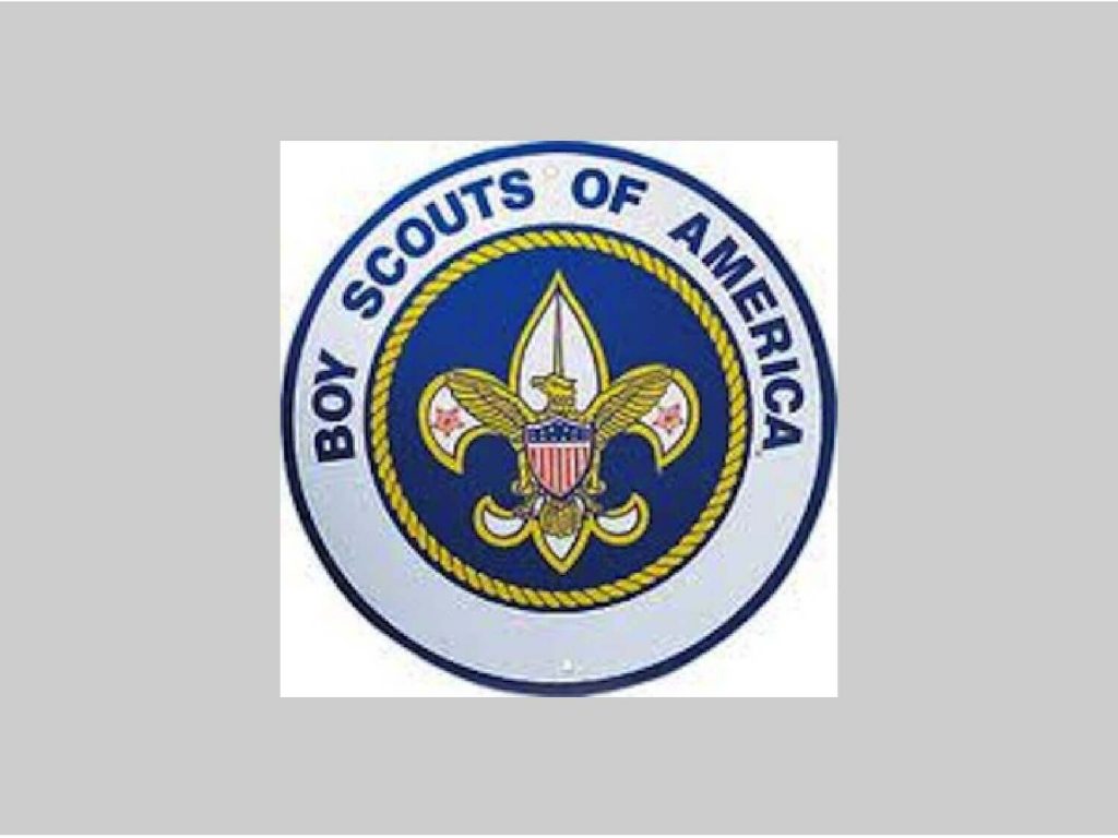 Boy Scouts of America Survey