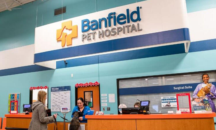 banfield pet hospital survey